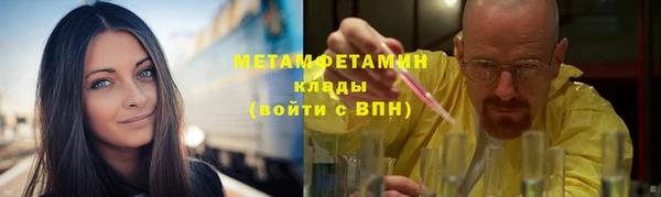 ПСИЛОЦИБИНОВЫЕ ГРИБЫ Козловка