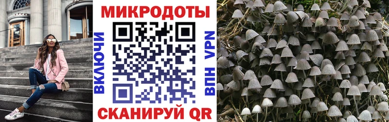 Псилоцибиновые грибы MAGIC MUSHROOMS  Купить где  Невьянск 